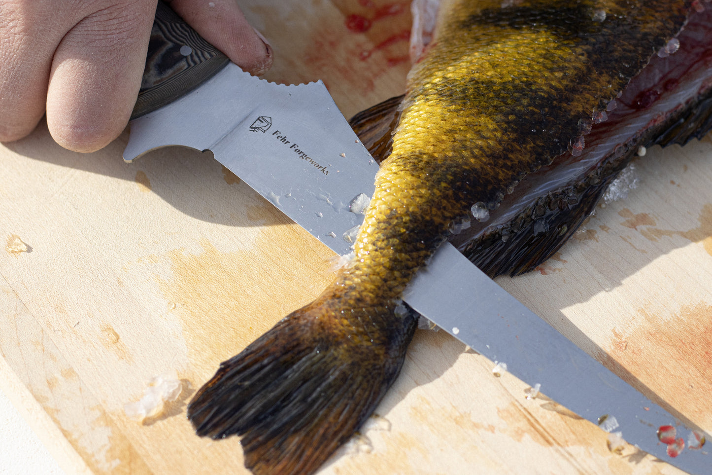 Tactical Fillet Knife