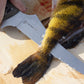 Tactical Fillet Knife