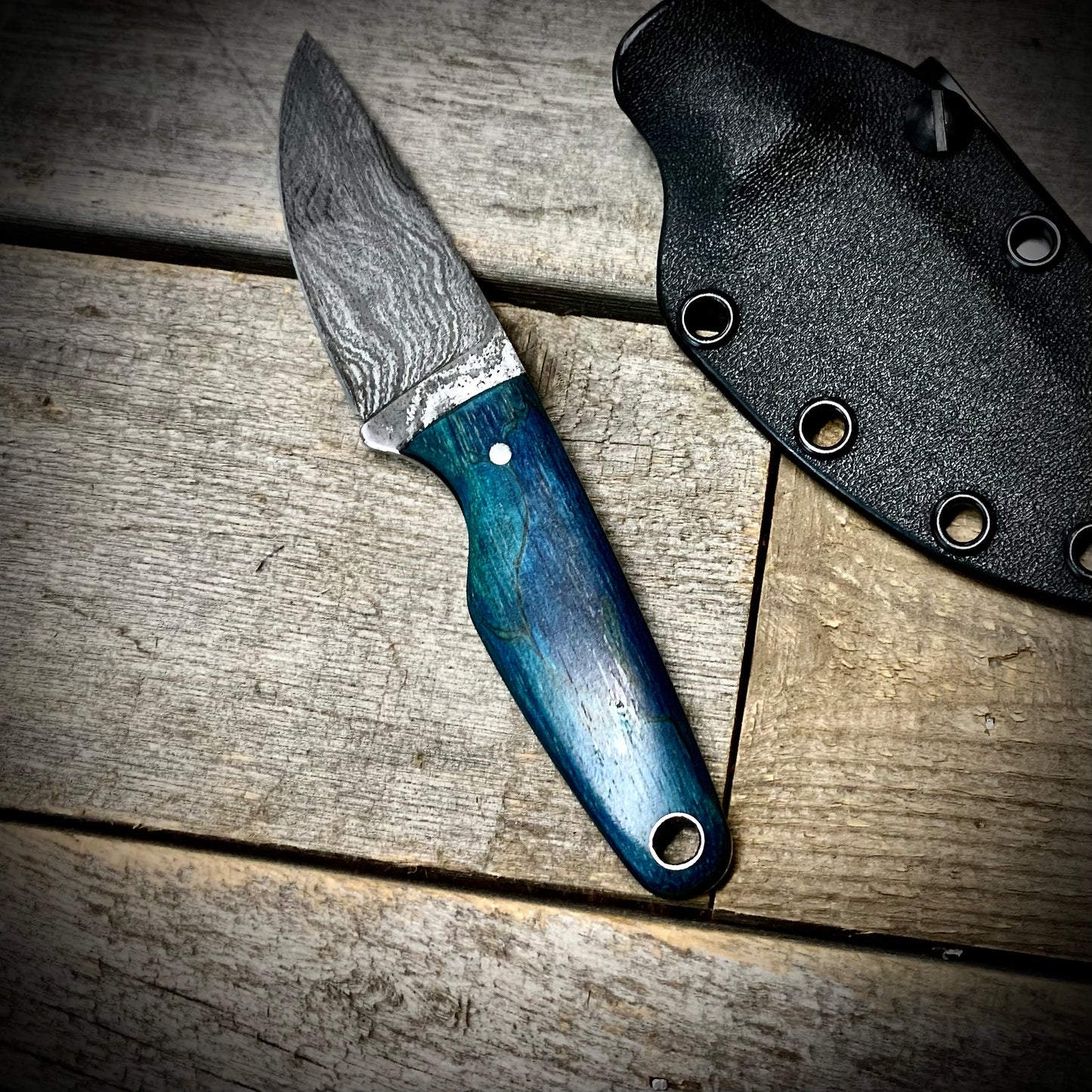 Damascus EDC Knife with Blue Spalted Tamarind Handle