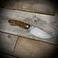 Auxiliary V2  Hunting Knife