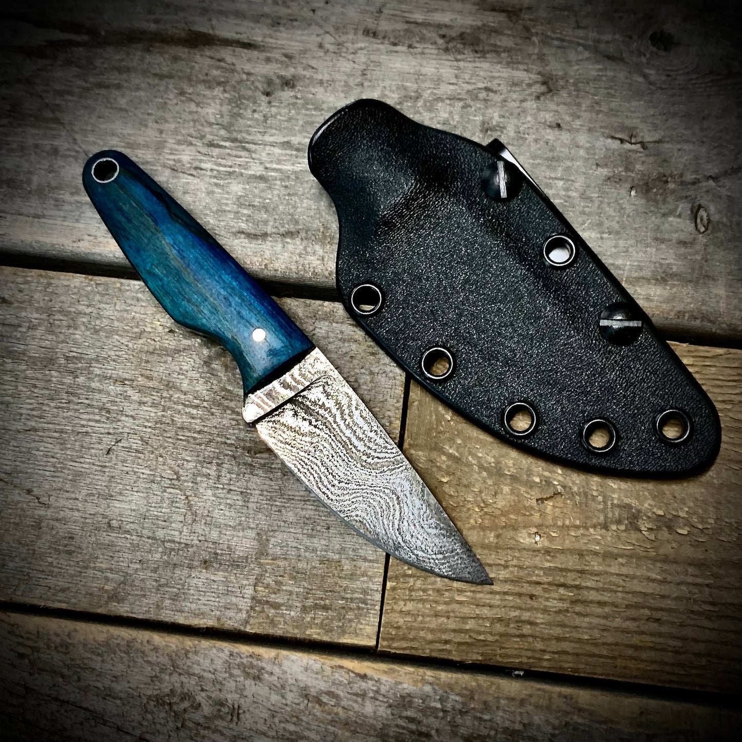 Damascus EDC Knife with Blue Spalted Tamarind Handle