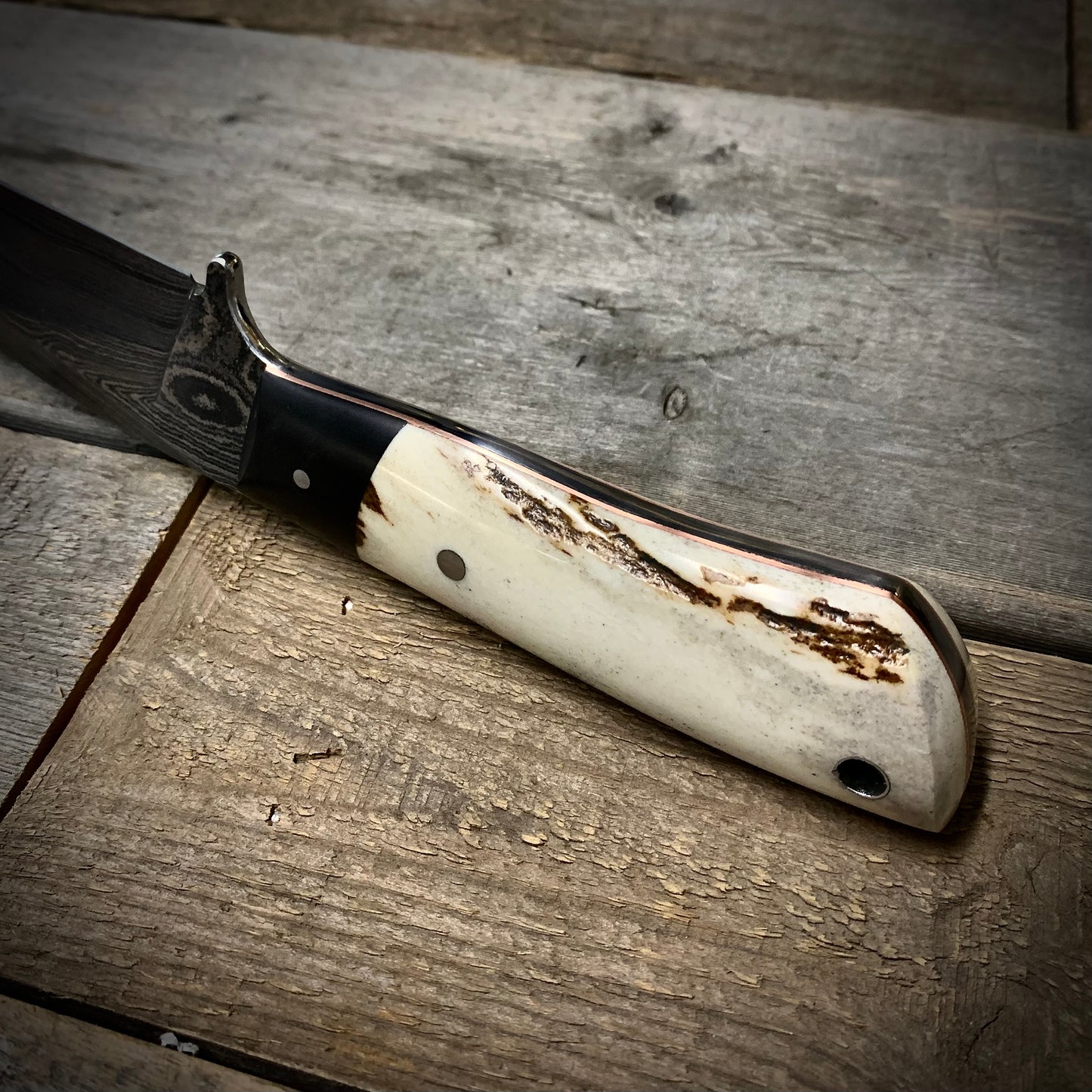 Damascus Hunter Moose Antler Handle