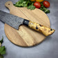 Damascus Chef Knife