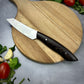 Stainless Japanese Paring Knife