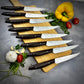 Stainless Steak Knife
