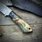 Stainless Hunter