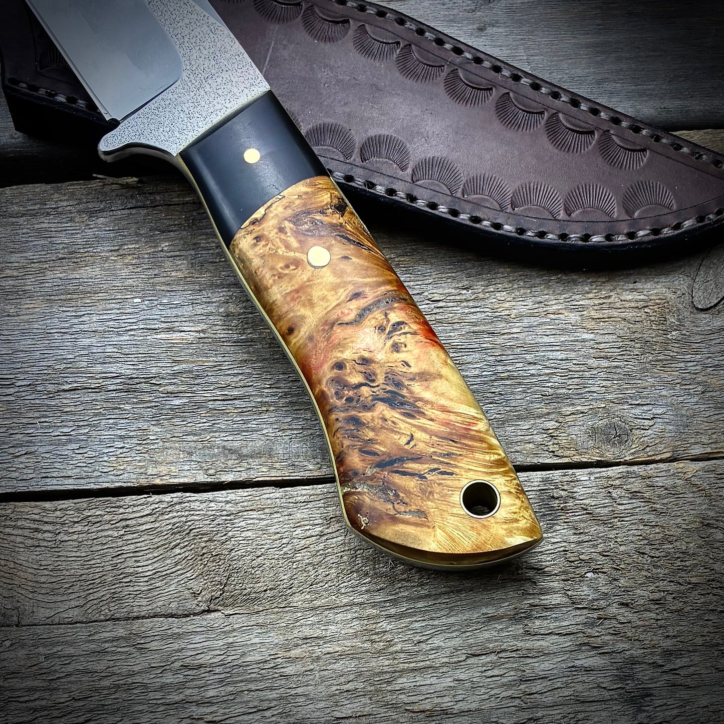Stainless Hunter