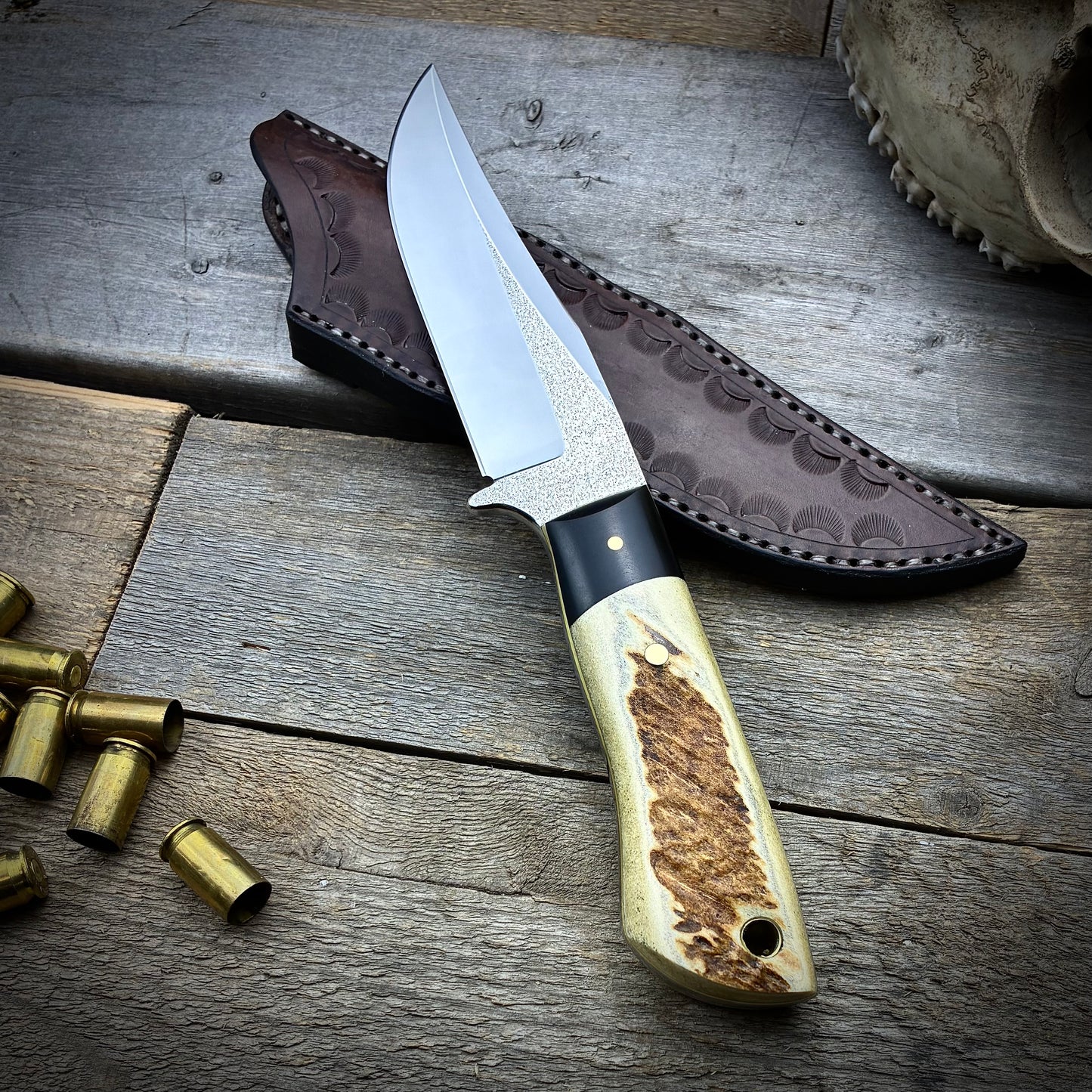Stainless Hunter