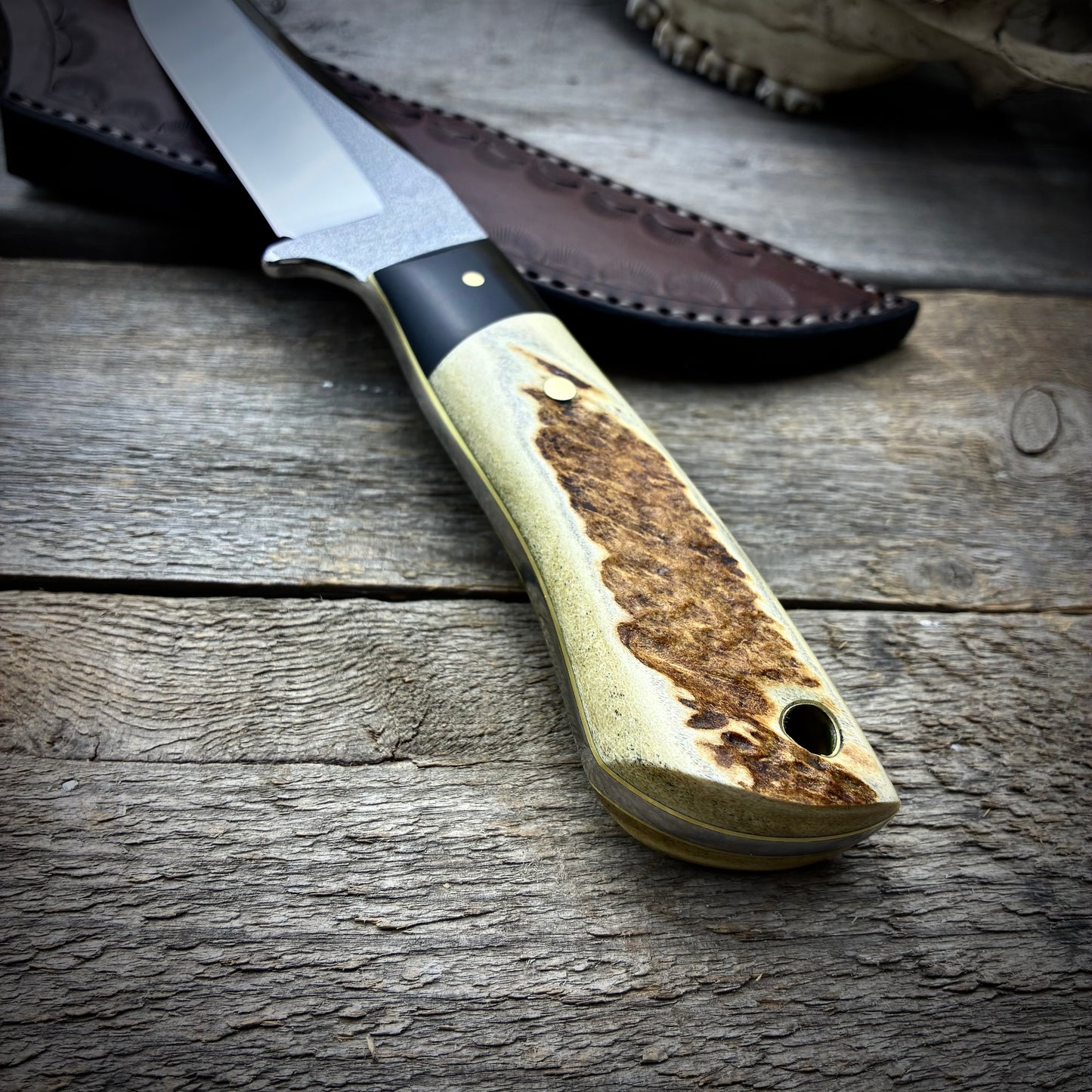 Stainless Hunter
