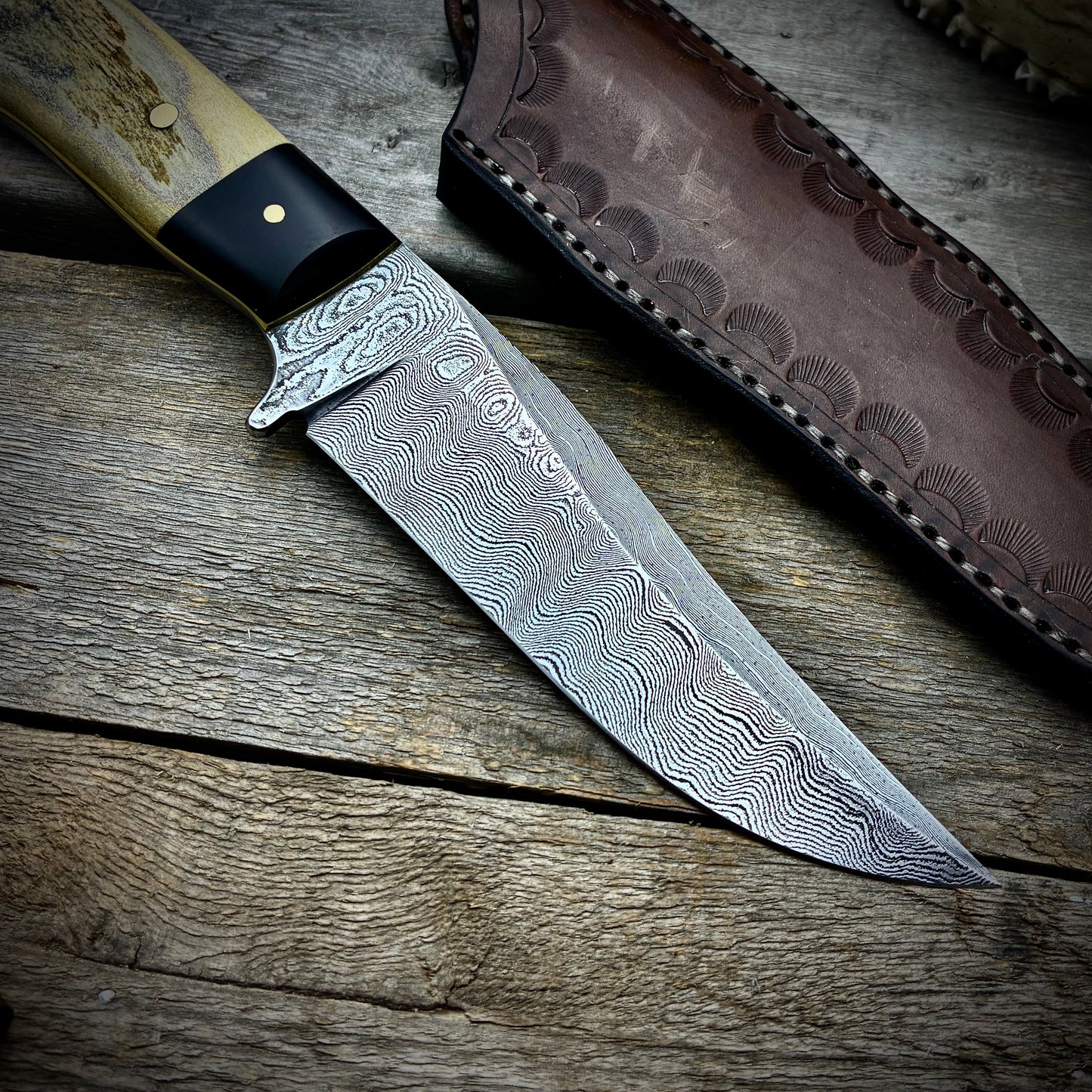 Damascus Hunter with Antler Handle