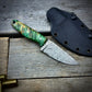 Damascus EDC Maple Burl Handle