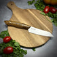 Stainless Japanese Paring Knife