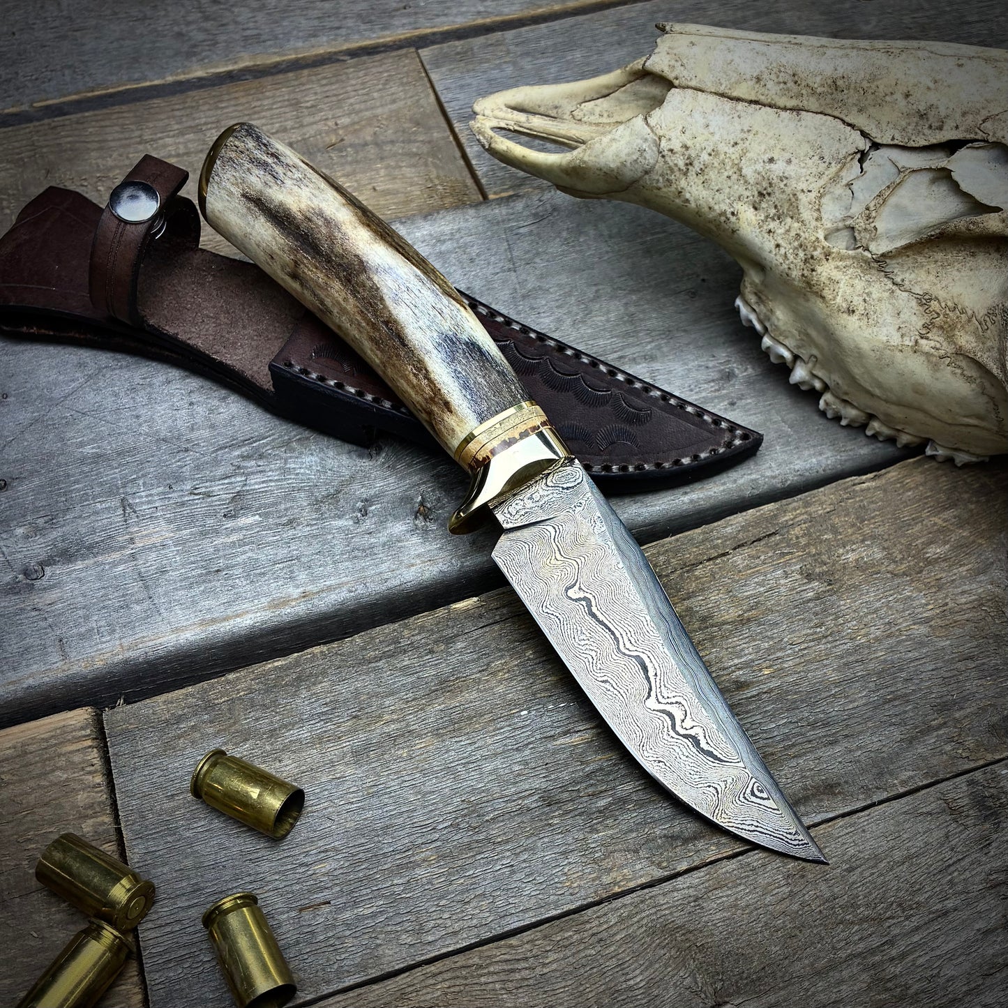 Damascus Hunter Antler Handle