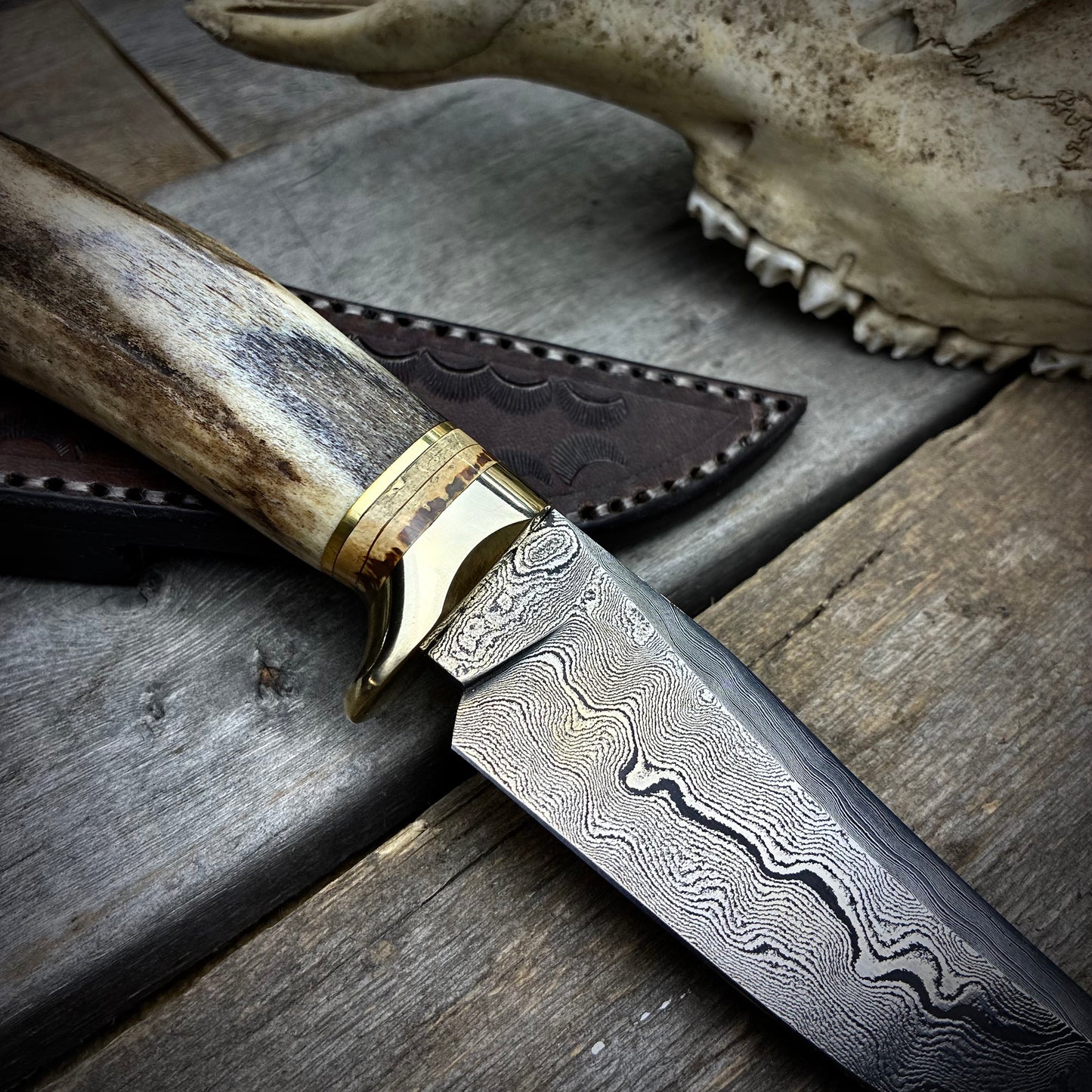 Damascus Hunter Antler Handle