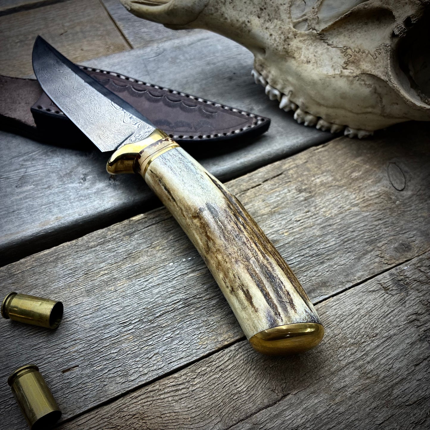 Damascus Hunter Antler Handle