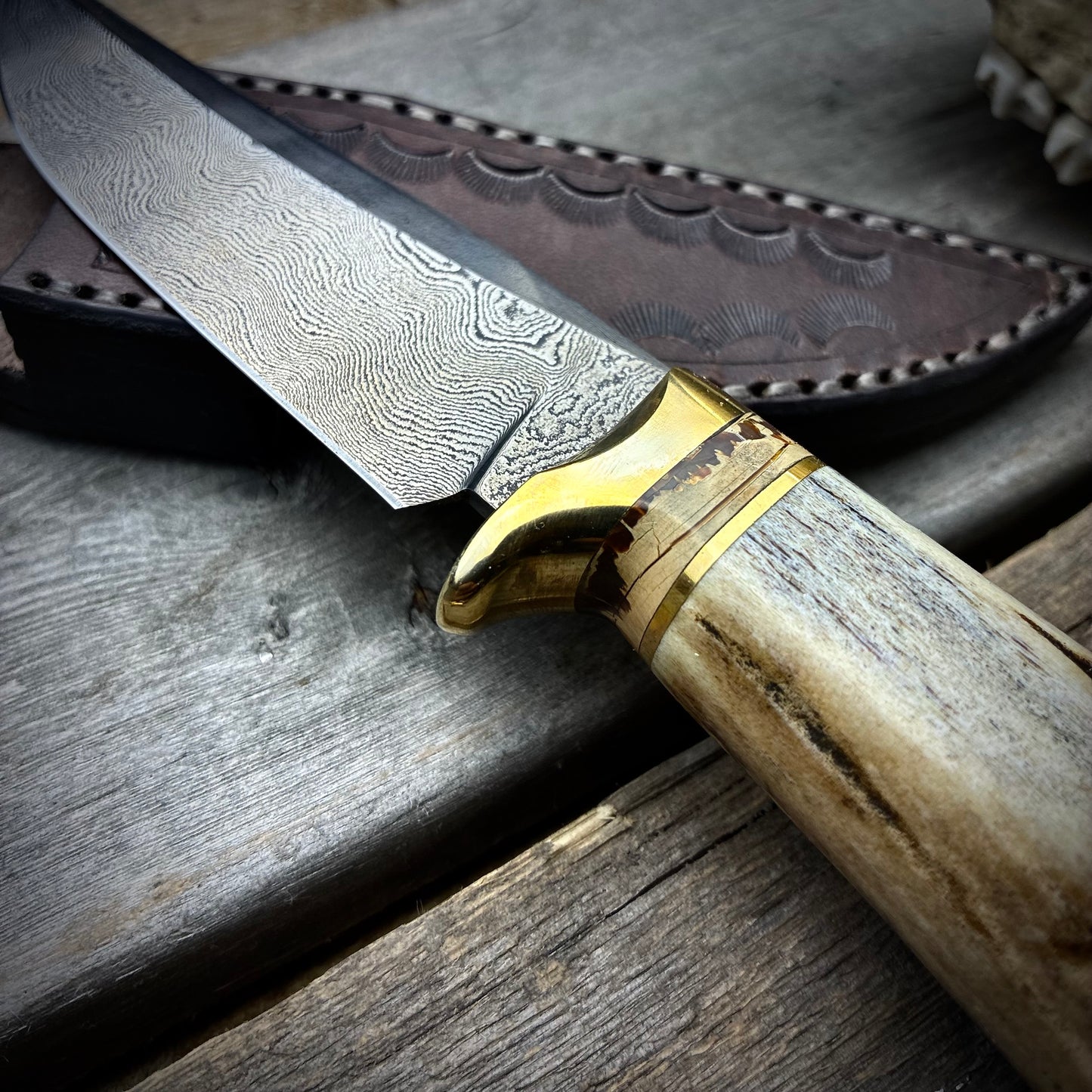 Damascus Hunter Antler Handle