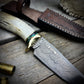 Damascus Hunter Antler Handle