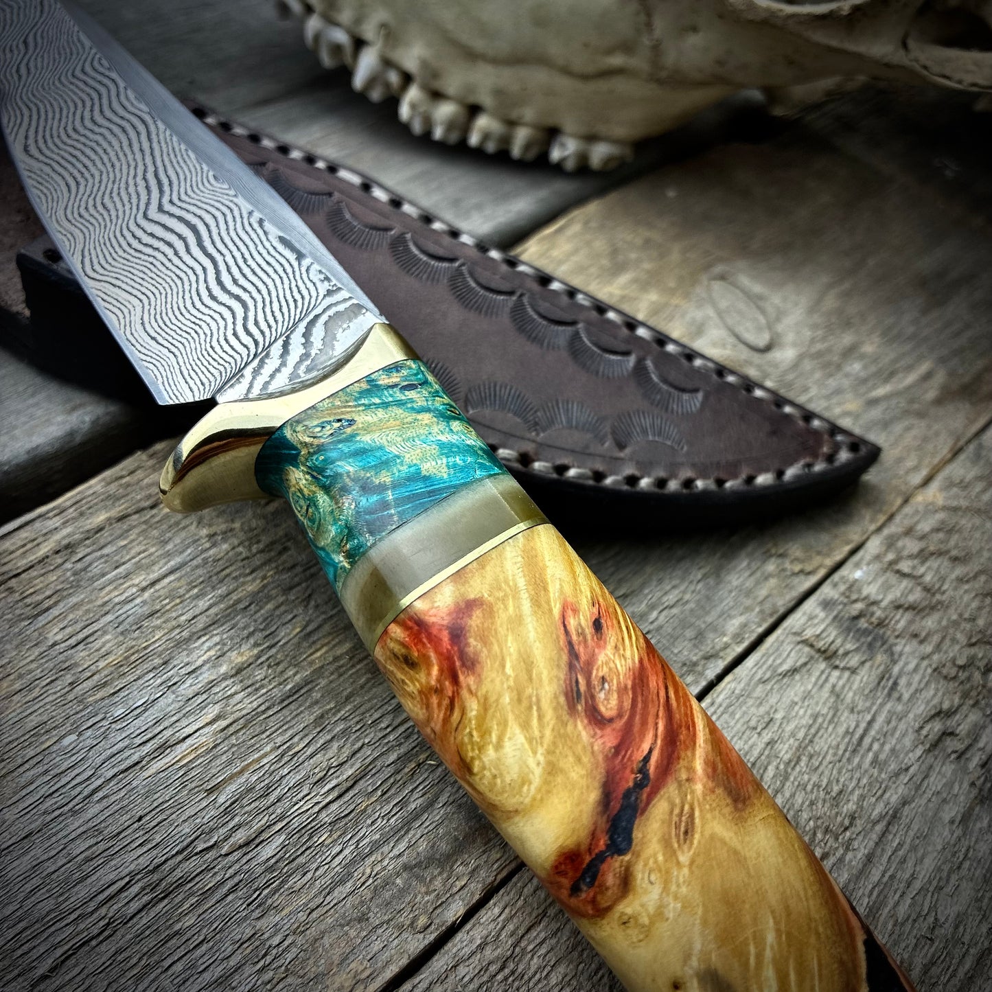 Damascus Hunter - Blue Maple Burl Handle